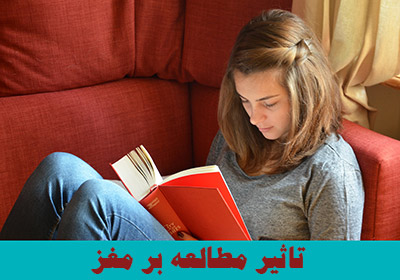 تاثیر مطالعه بر مغز